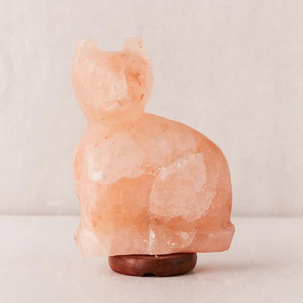 Hand-carved Himalayan salt cat lamp on a wooden base