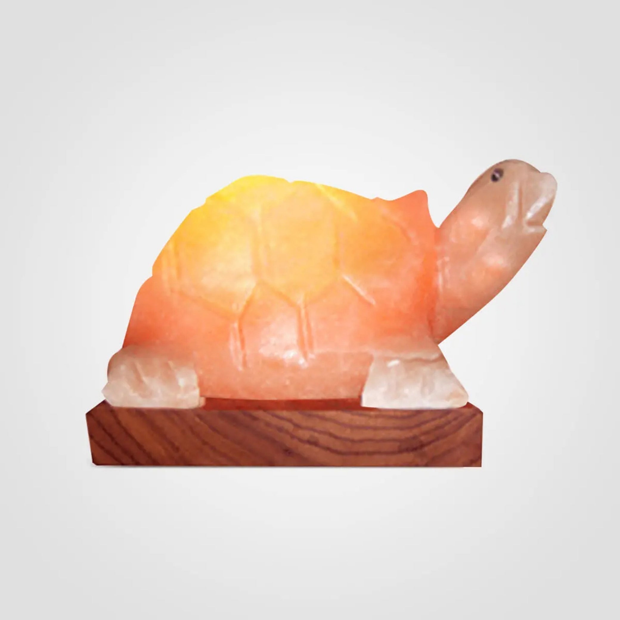 Hand-carved Himalayan salt turtle lamp on a wooden base