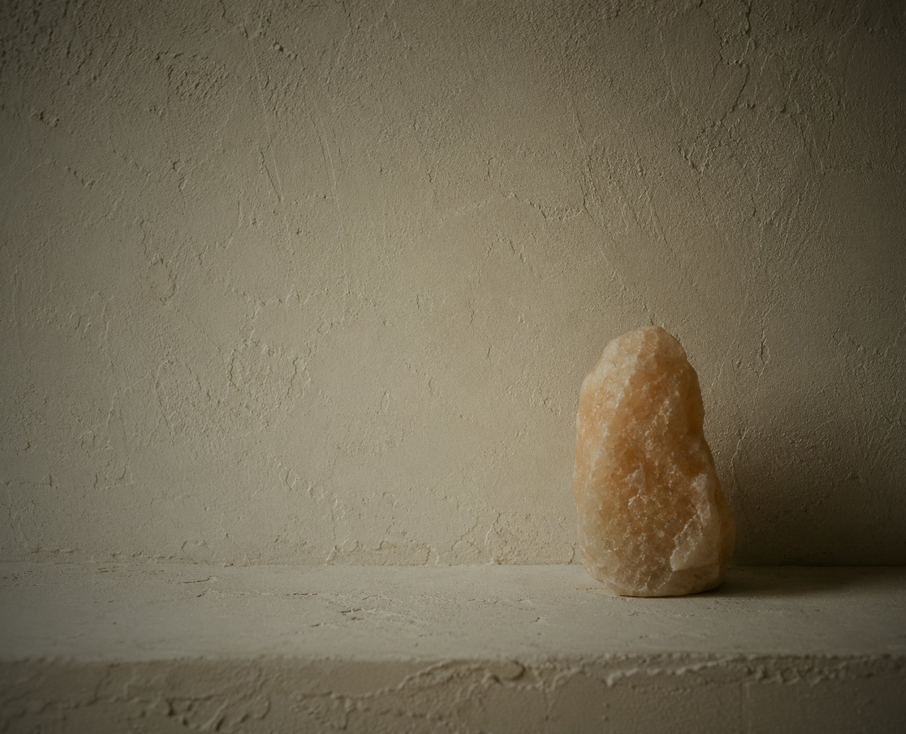 A single salt form against a lime-plaster wall