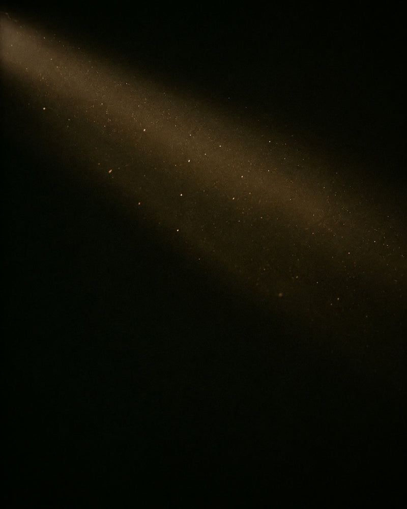 Dust drifting through a shaft of low warm light