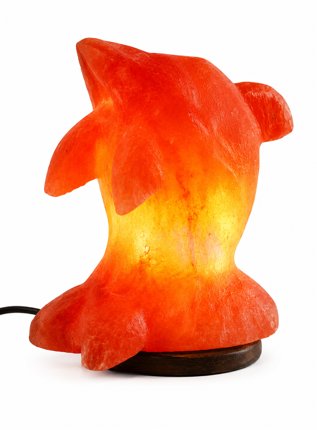 Dolphin Salt Lamp